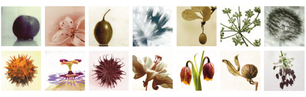 bildschirmfoto 2021 02 28 um 19.56.40 1024x325